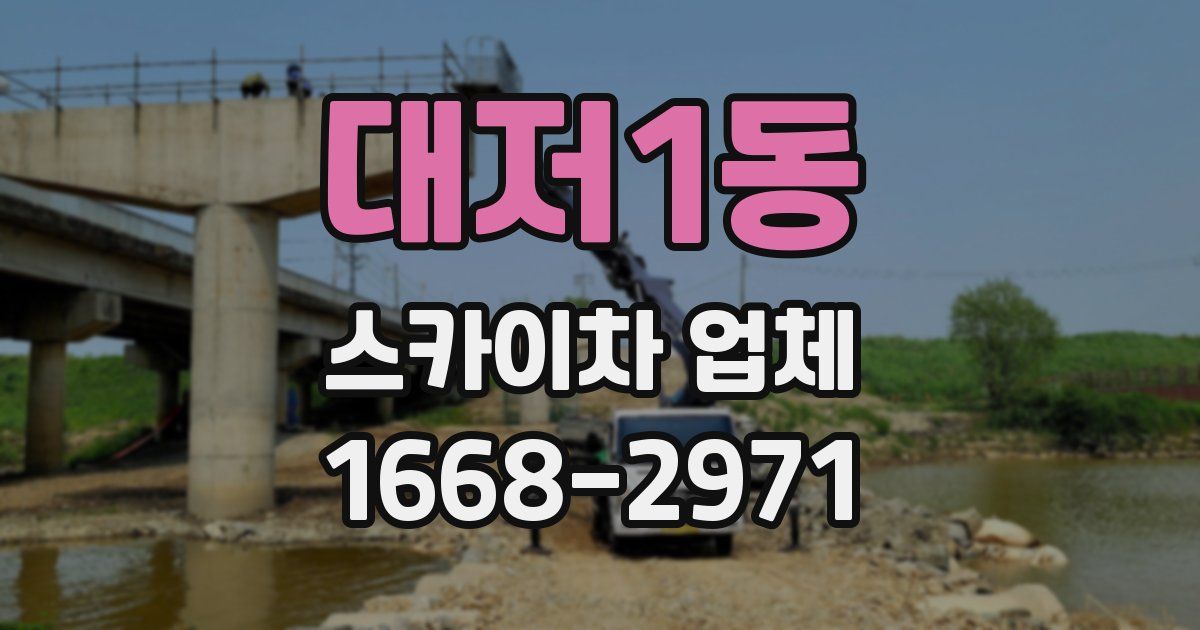대저1동 스카이차 업체