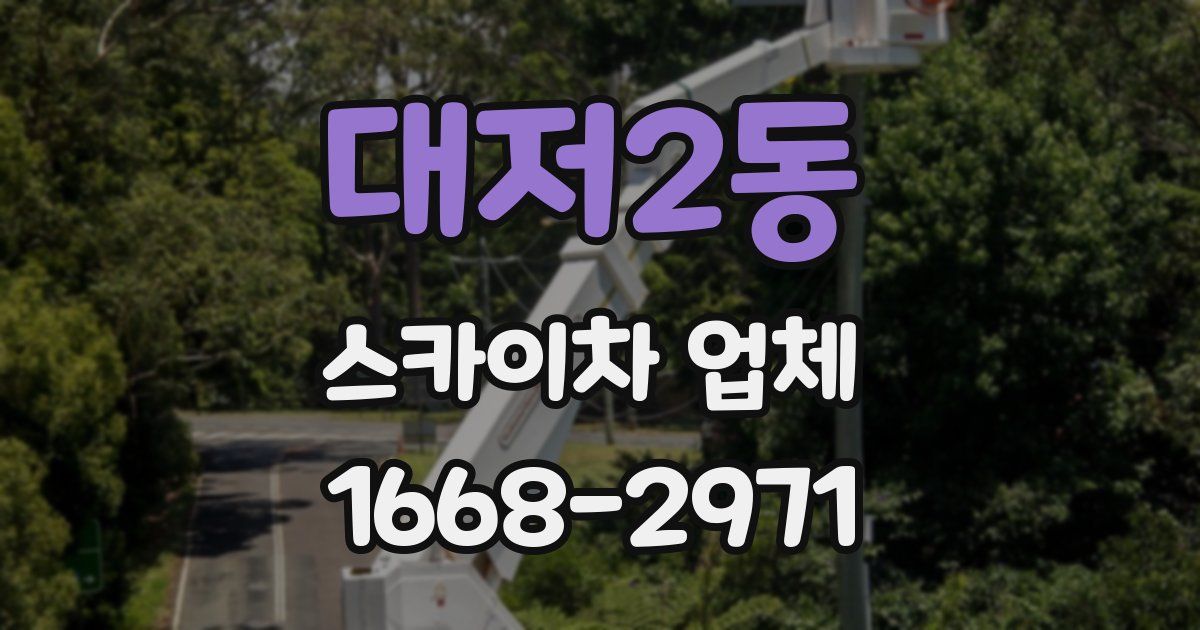 대저2동 스카이차 업체