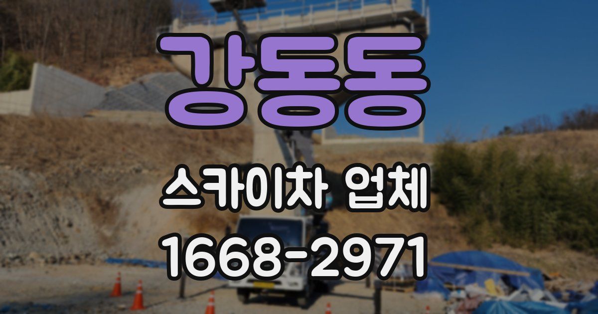 강동동 스카이차 업체