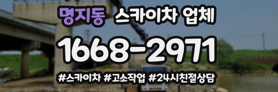 명지동 스카이차 업체
