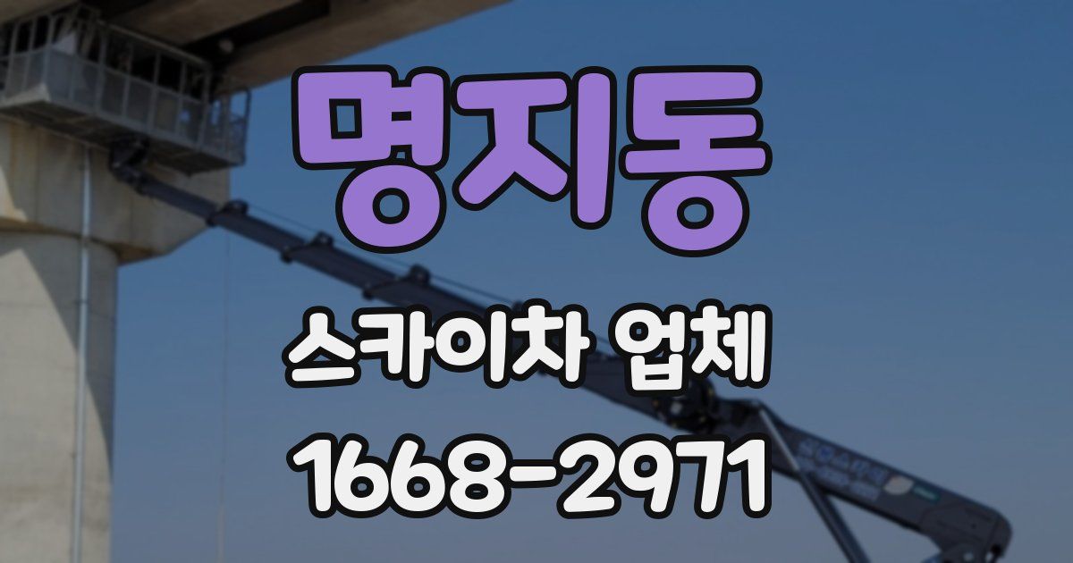 명지동 스카이차 업체