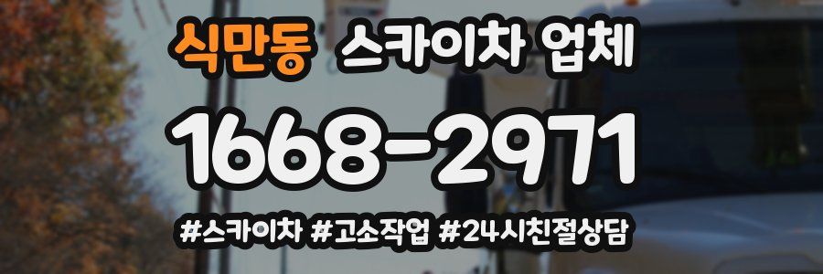 식만동 스카이차 업체