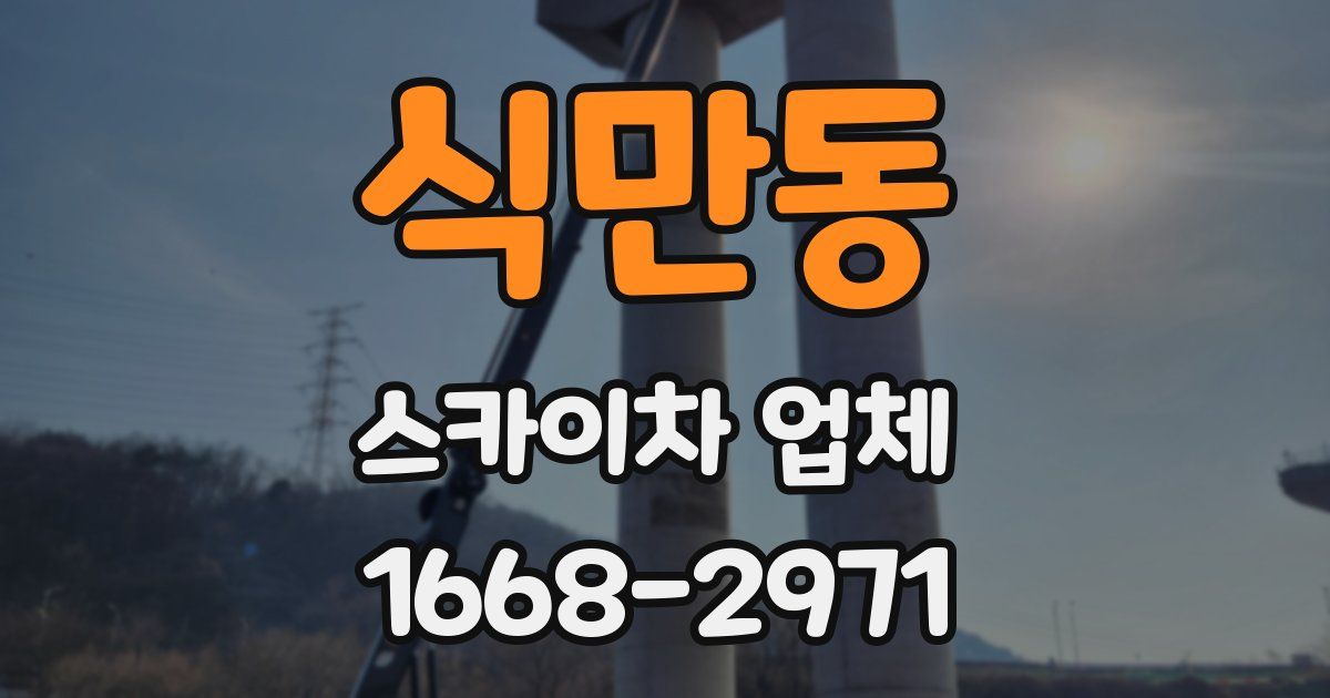 식만동 스카이차 업체