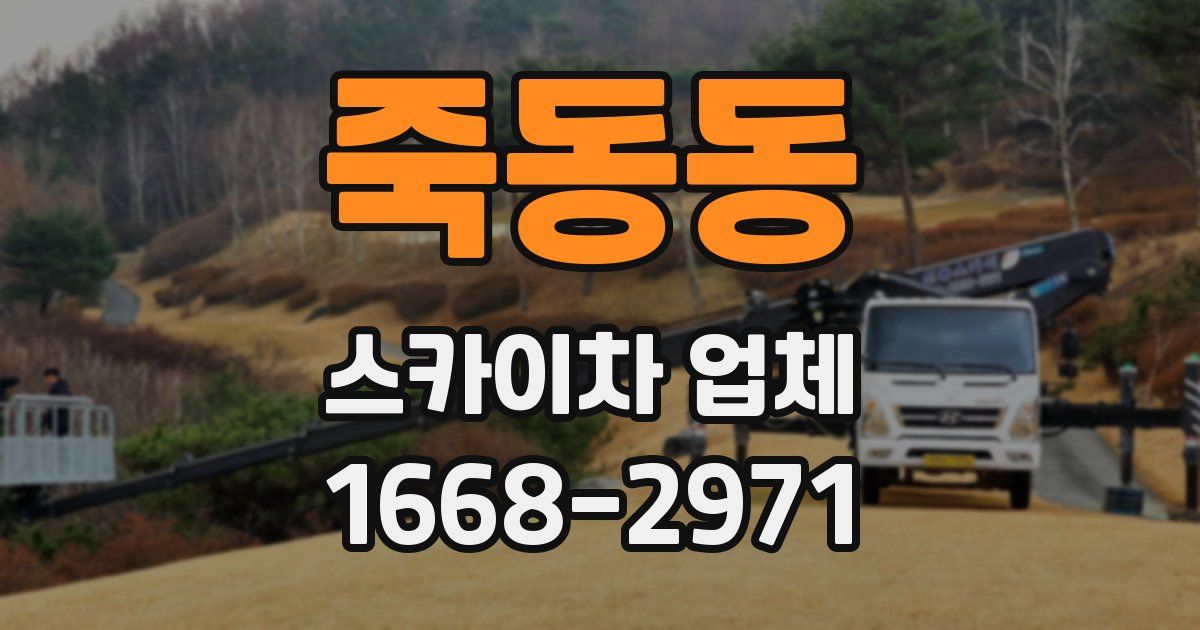 죽동동 스카이차 업체