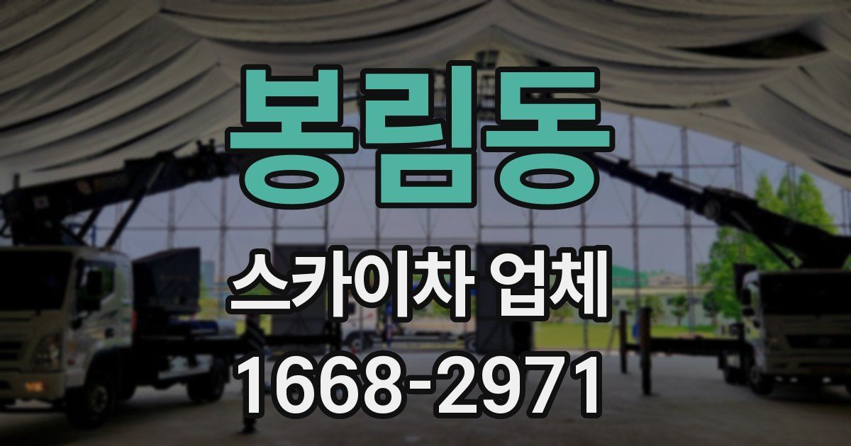 봉림동 스카이차 업체