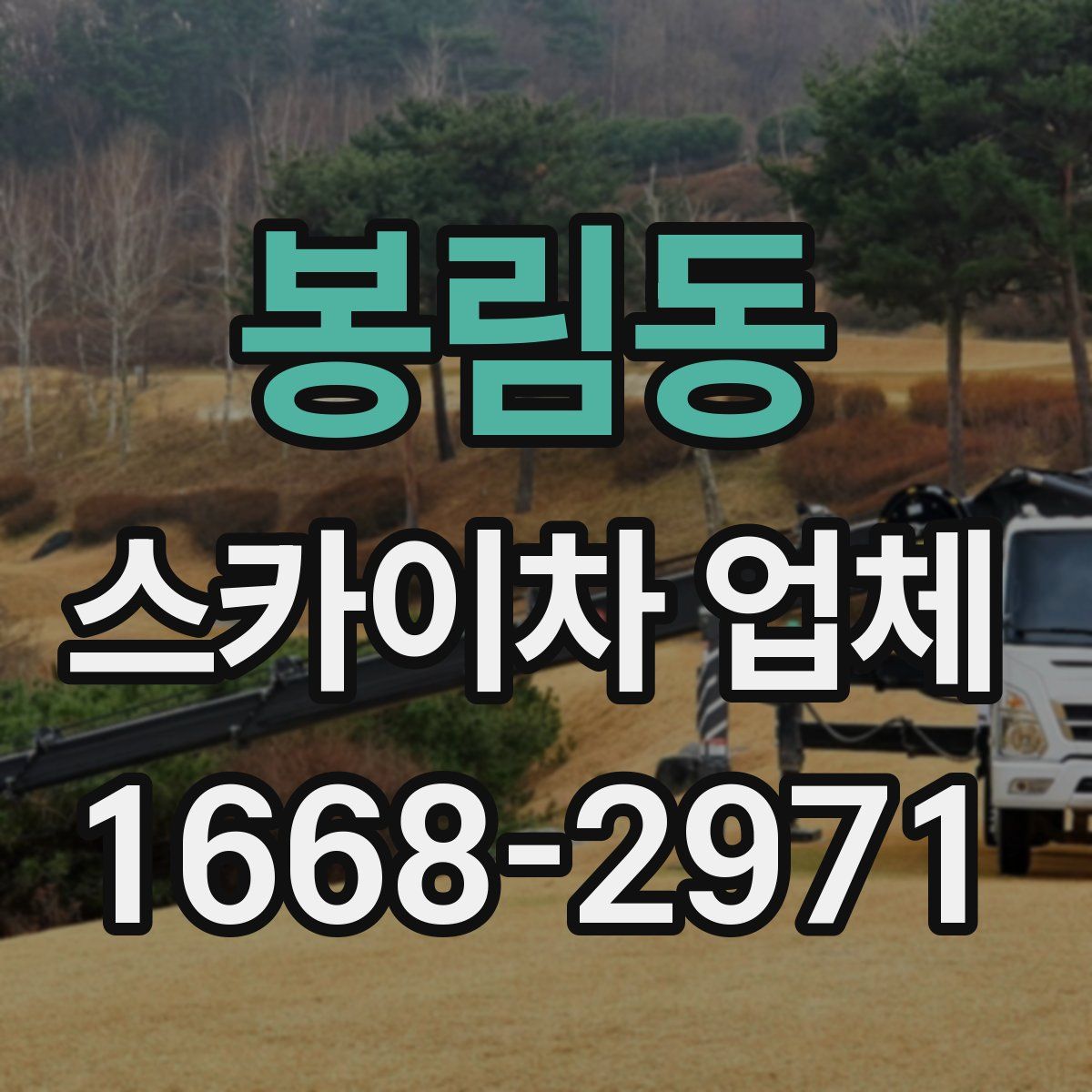 봉림동 스카이차 업체