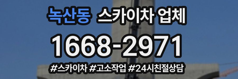 녹산동 스카이차 업체