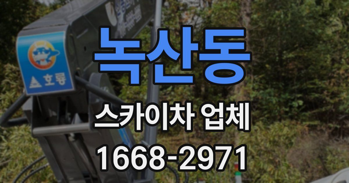 녹산동 스카이차 업체