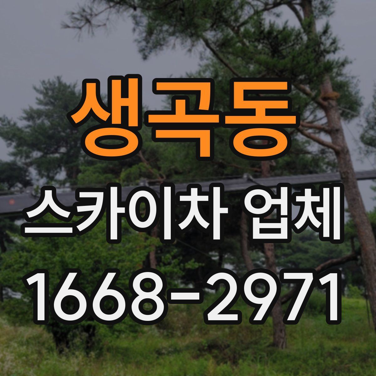 생곡동 스카이차 업체