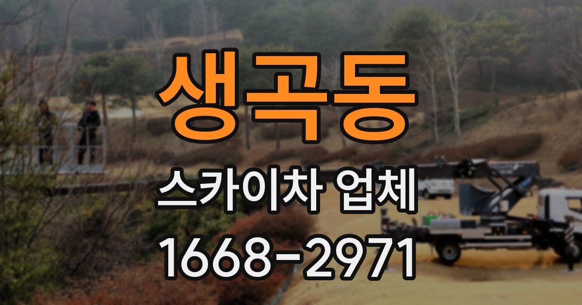 생곡동 스카이차 업체