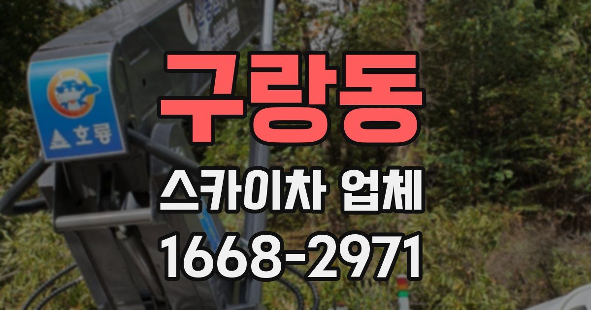 구랑동 스카이차 업체