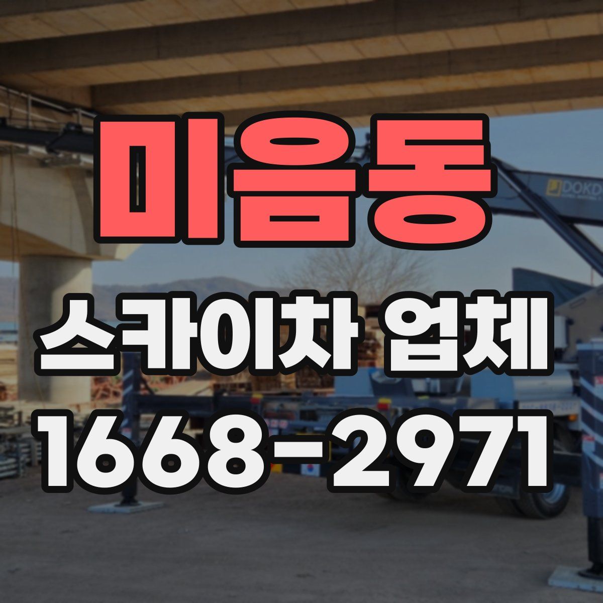 미음동 스카이차 업체