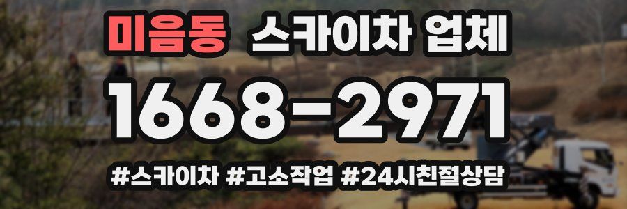 미음동 스카이차 업체