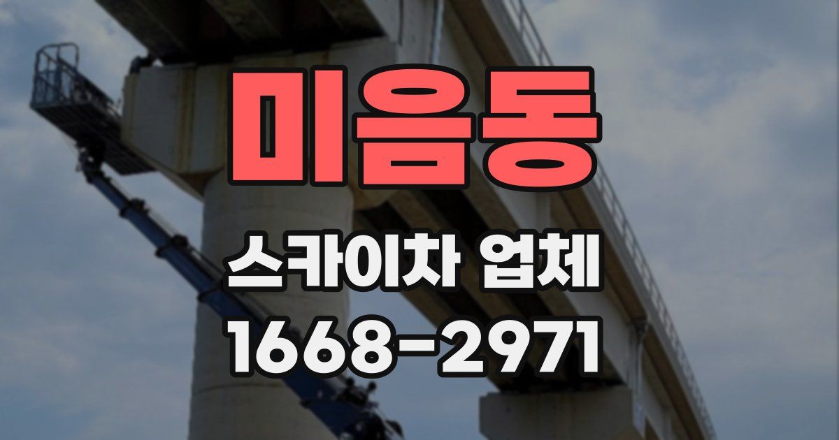 미음동 스카이차 업체