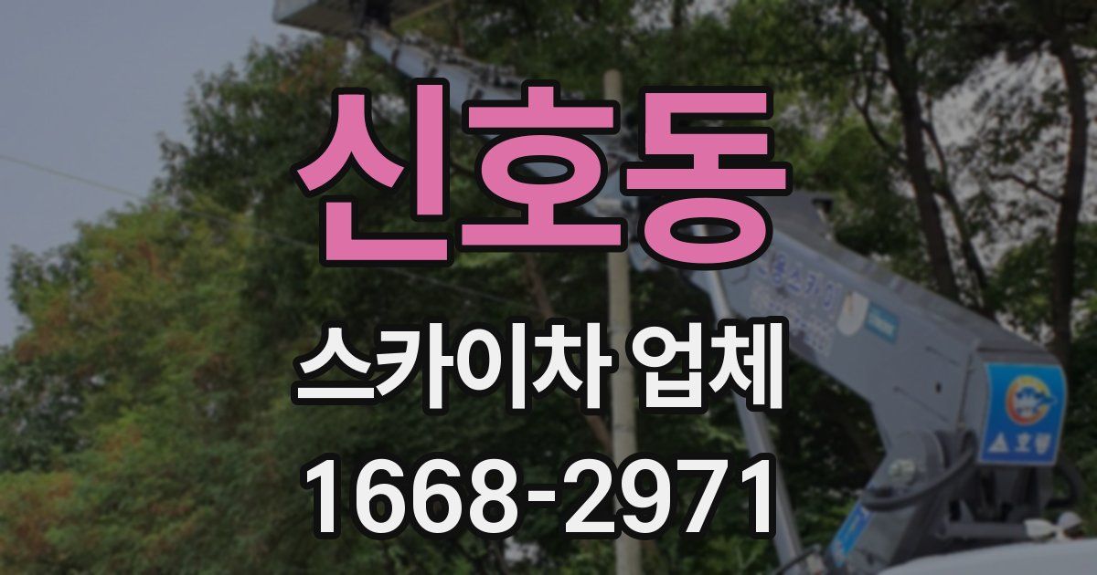 신호동 스카이차 업체