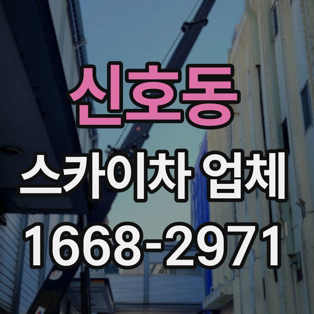 신호동 스카이차 업체