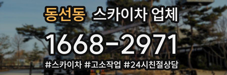 동선동 스카이차 업체