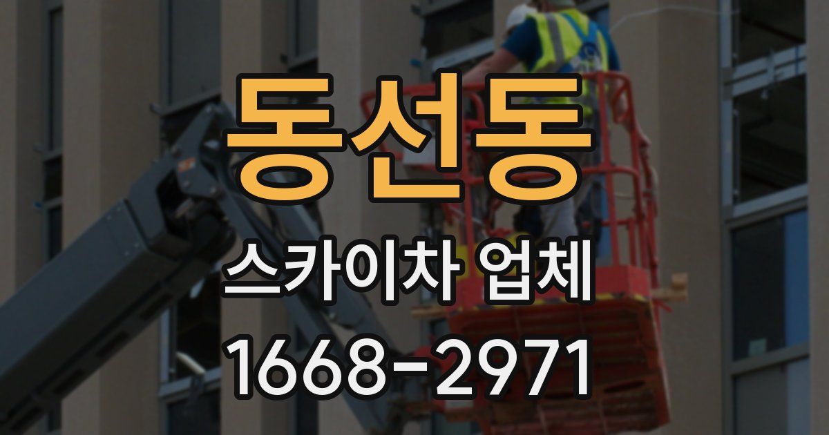 동선동 스카이차 업체
