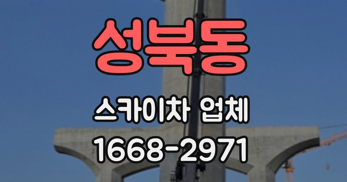 성북동 스카이차 업체