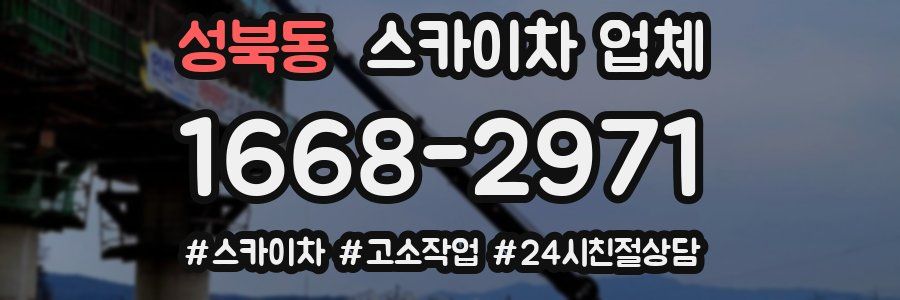 성북동 스카이차 업체