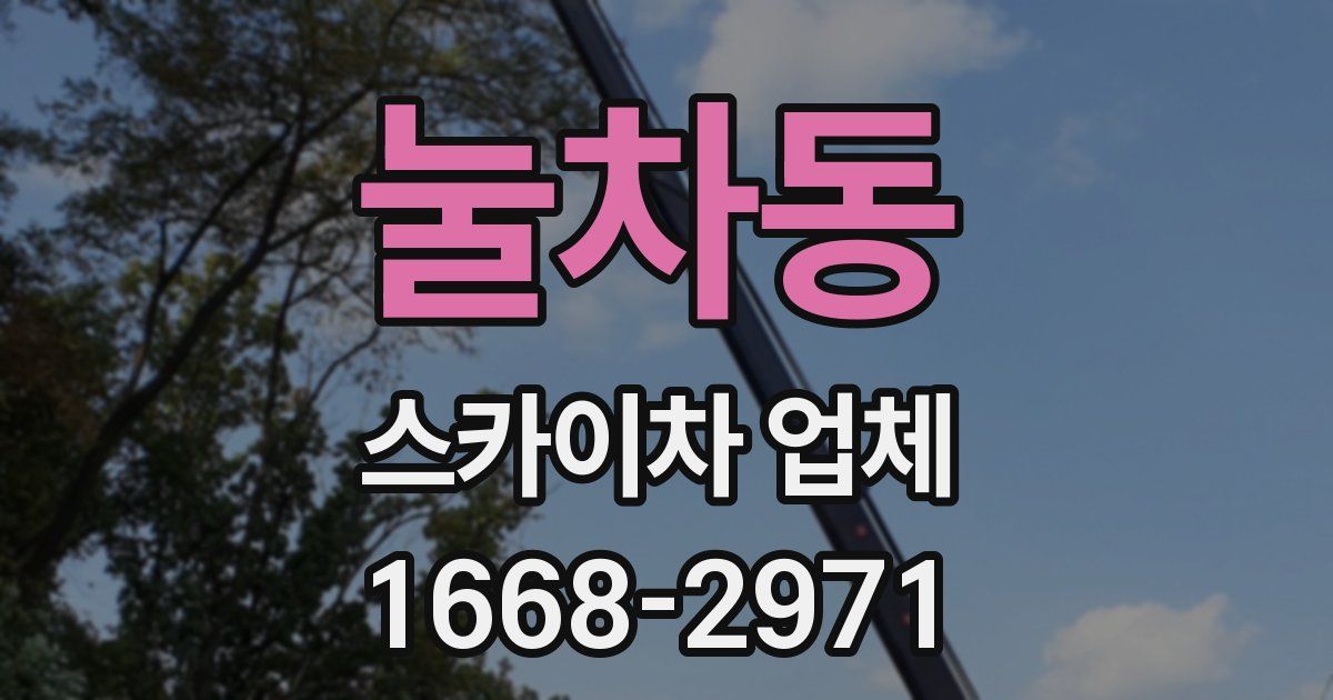 눌차동 스카이차 업체