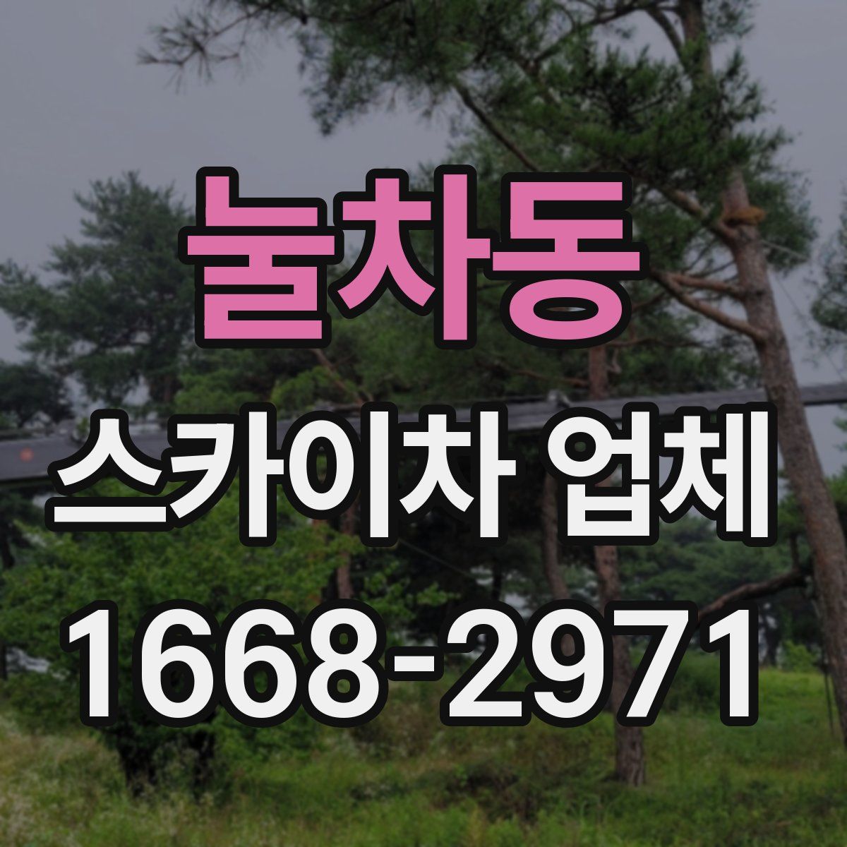 눌차동 스카이차 업체