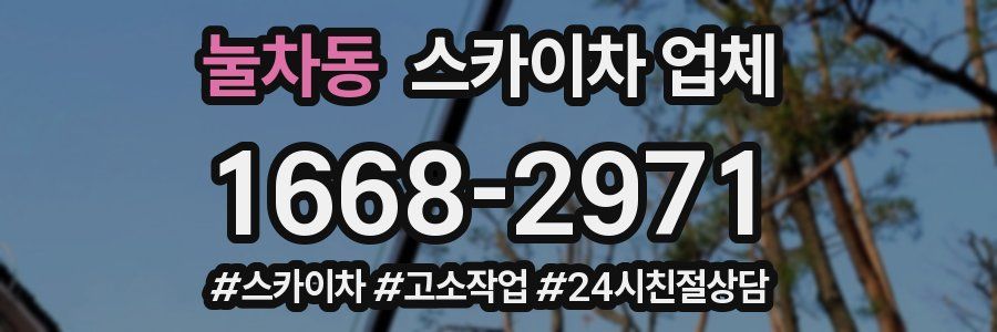 눌차동 스카이차 업체