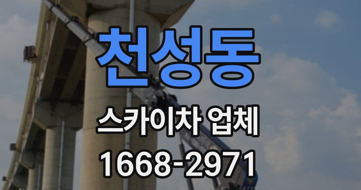 천성동 스카이차 업체