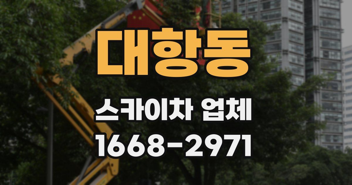 대항동 스카이차 업체