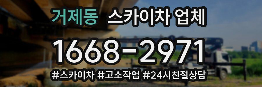 거제동 스카이차 업체
