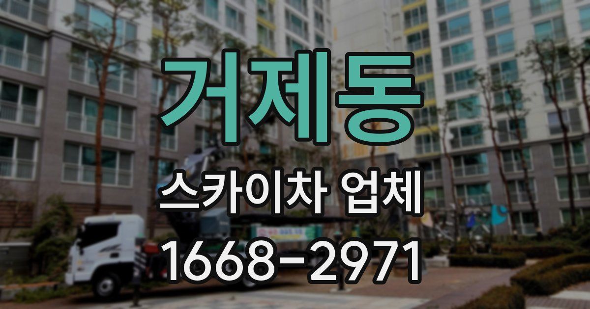 거제동 스카이차 업체