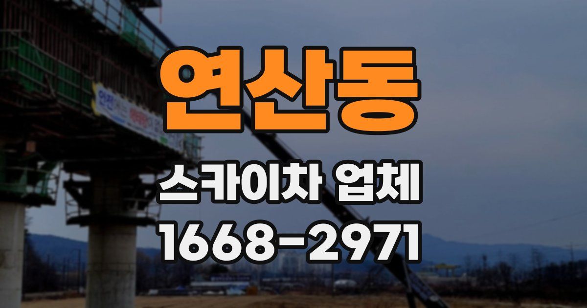 연산동 스카이차 업체