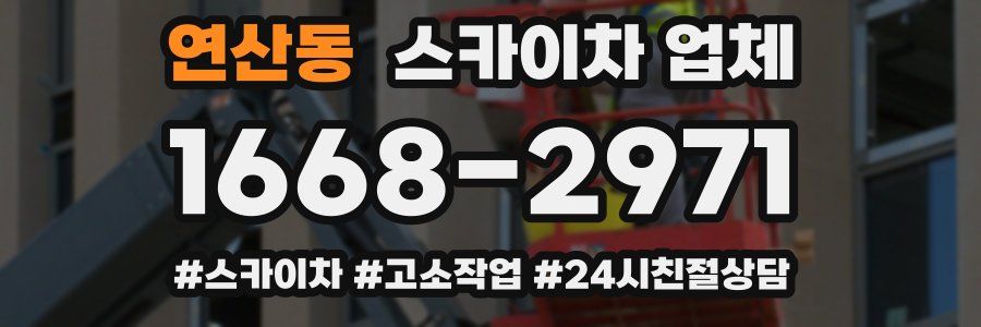 연산동 스카이차 업체