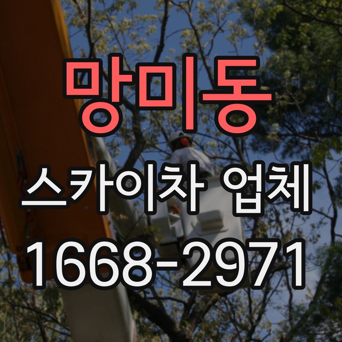 망미동 스카이차 업체