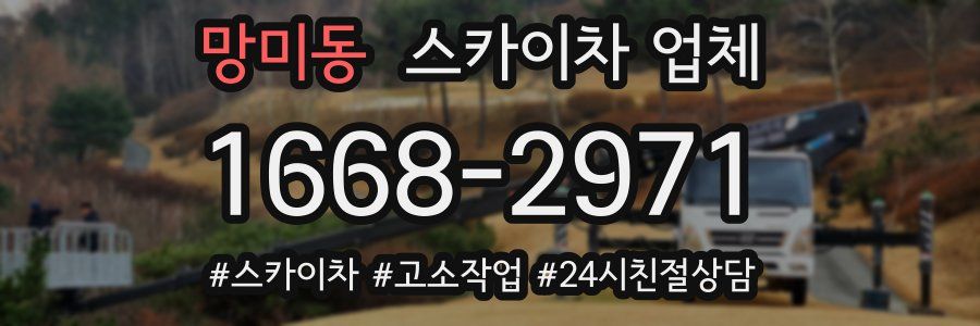 망미동 스카이차 업체