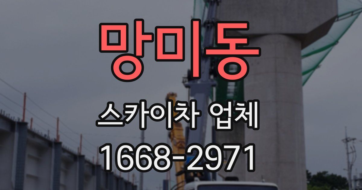 망미동 스카이차 업체