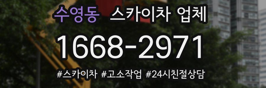 수영동 스카이차 업체
