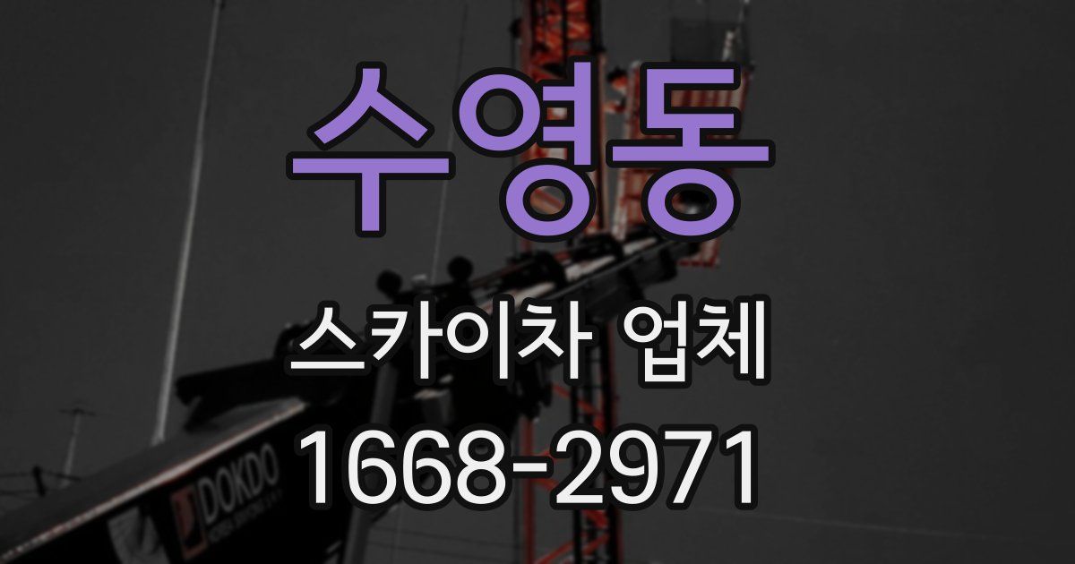 수영동 스카이차 업체