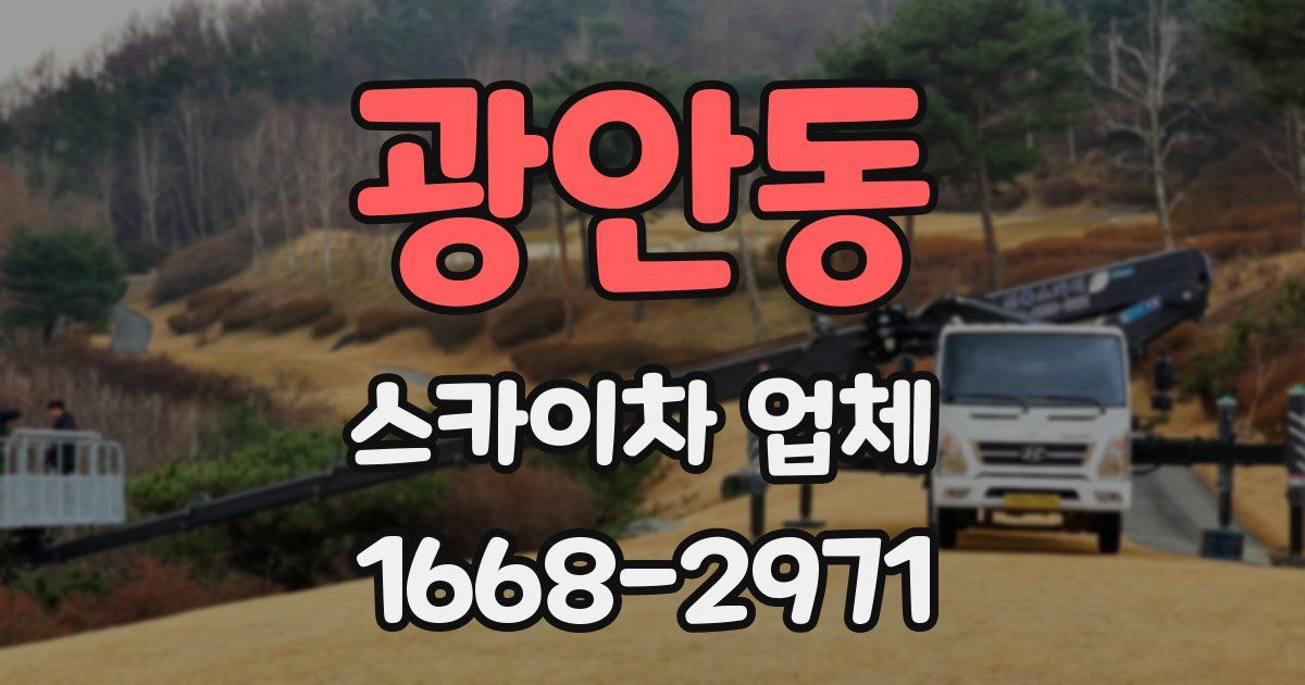 광안동 스카이차 업체