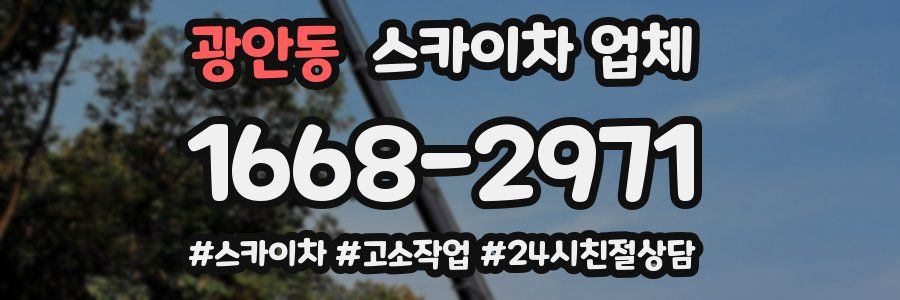 광안동 스카이차 업체
