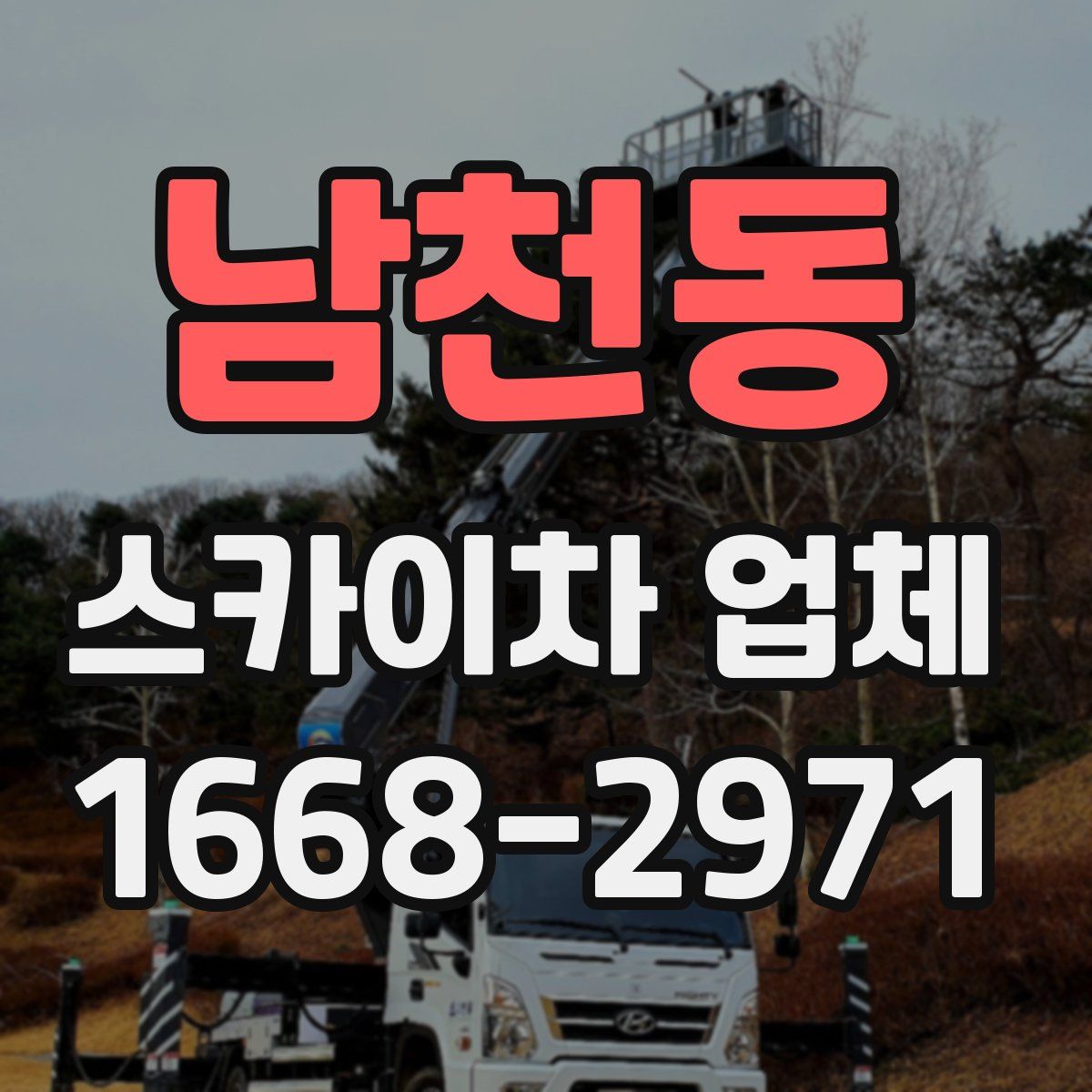 남천동 스카이차 업체