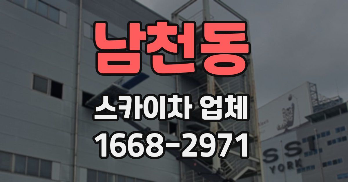 남천동 스카이차 업체