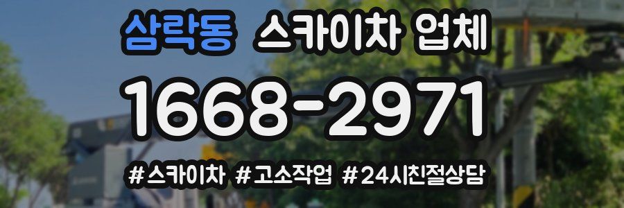 삼락동 스카이차 업체