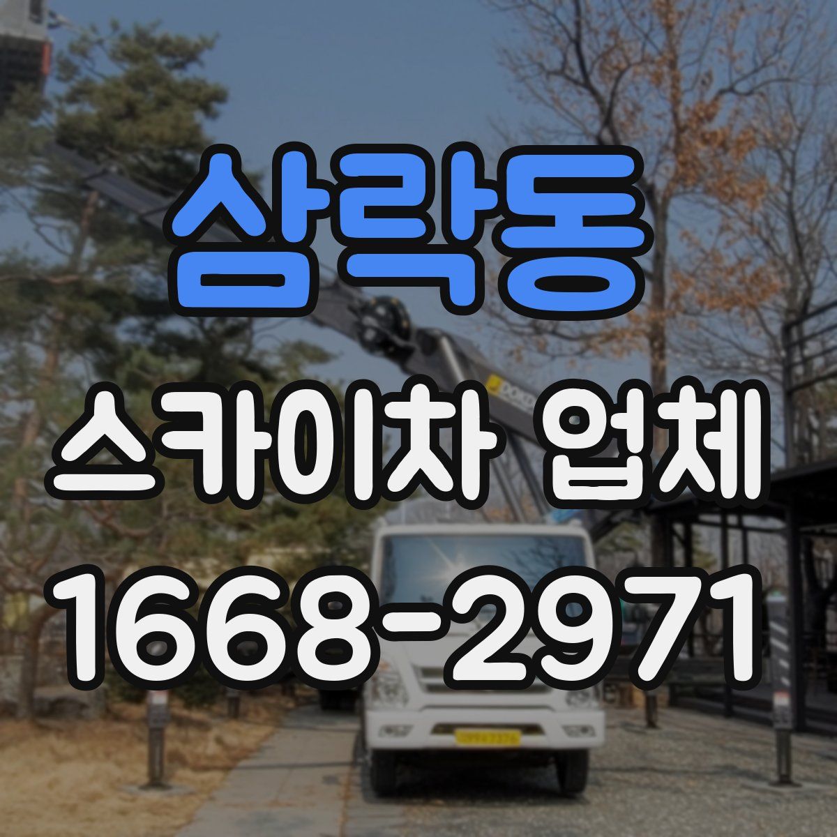 삼락동 스카이차 업체