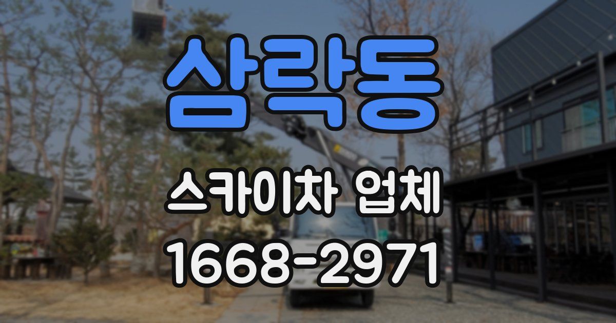 삼락동 스카이차 업체