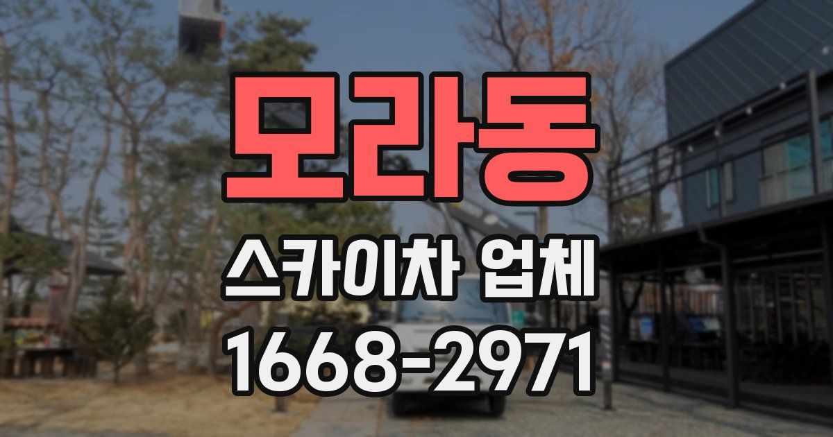 모라동 스카이차 업체