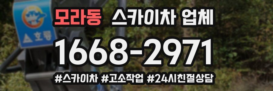 모라동 스카이차 업체