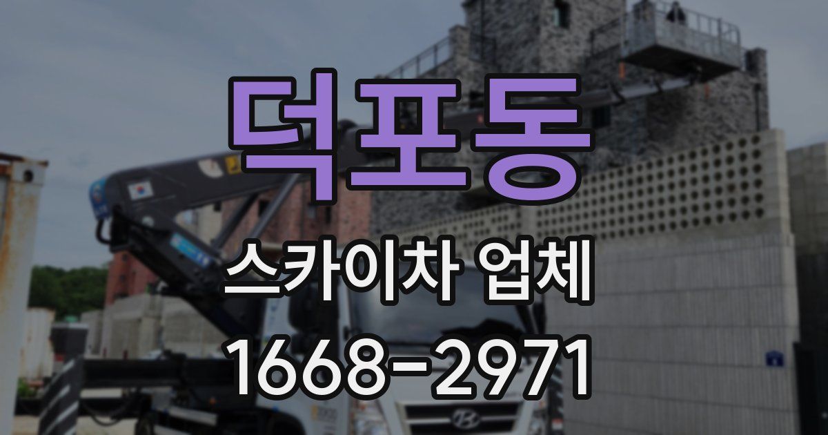덕포동 스카이차 업체