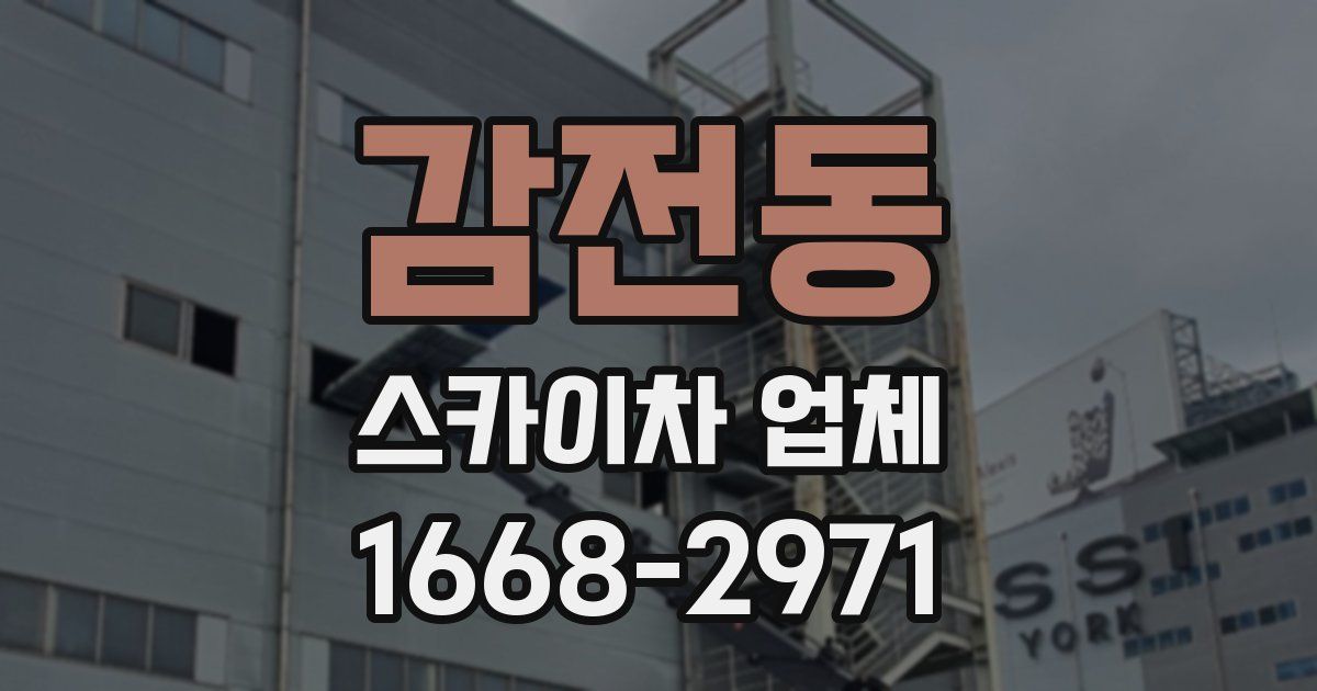 감전동 스카이차 업체