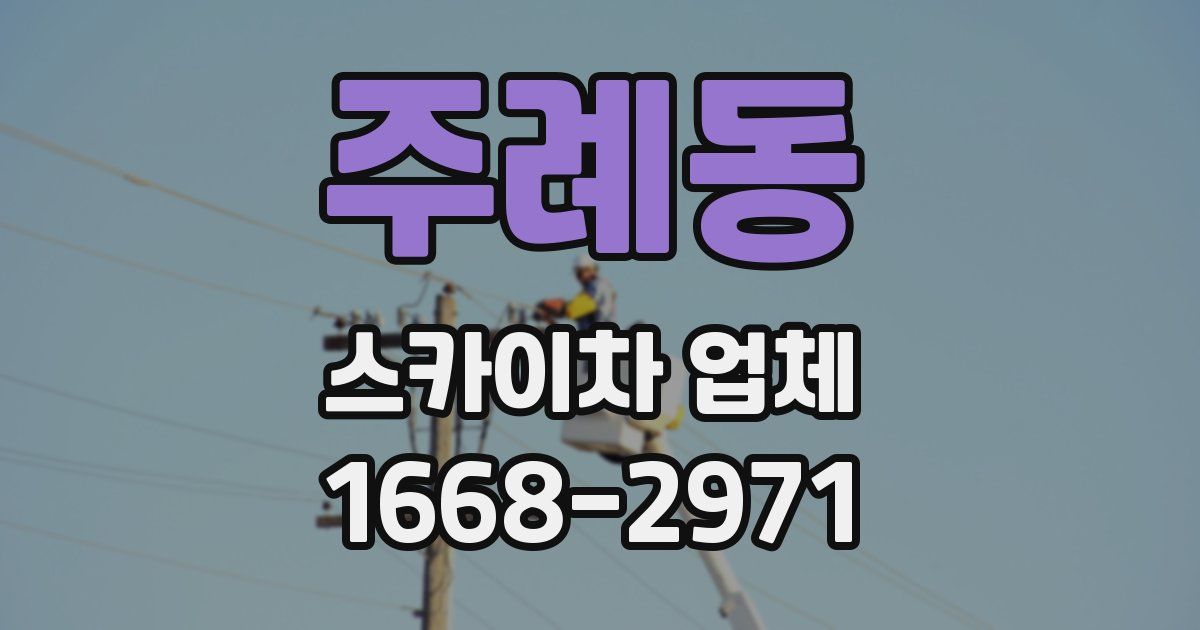 주례동 스카이차 업체